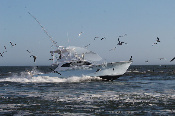 drifter.9727