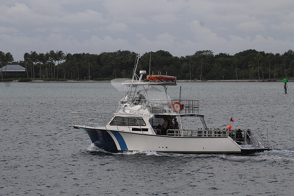 AURELIA.21