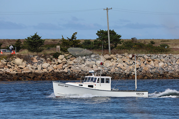 680120.molly may.plymouth ma.6622