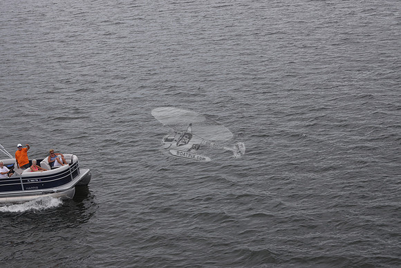 fl1460tn.10