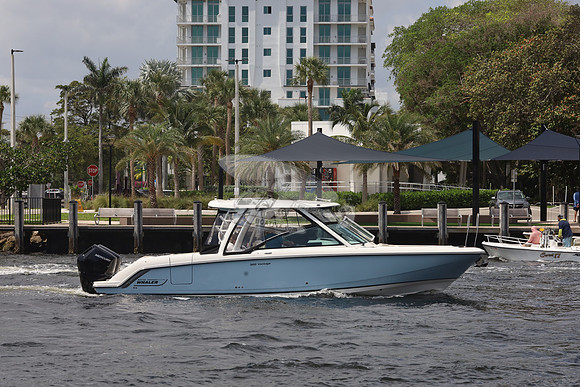 BOSTON WHALER32.BLUE.3