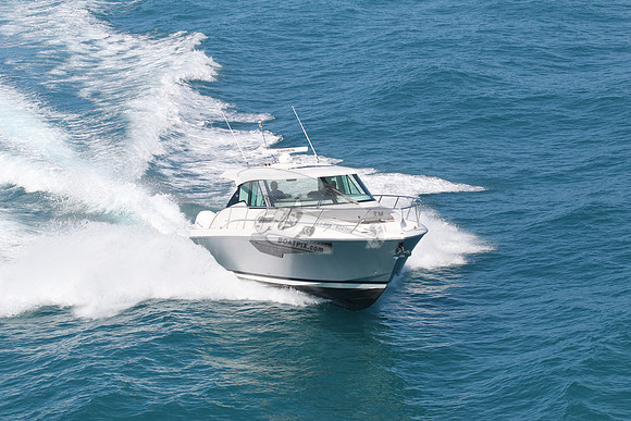 3 S.florida.s2.pursuit.09