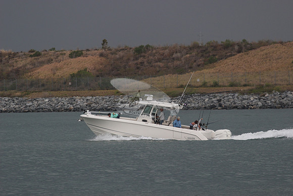 BOSTON WHALER.6