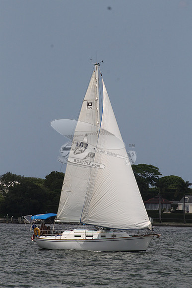 102..ETONYA.JUPITER FL.S32.1
