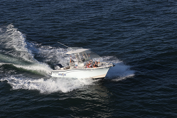 dl8276an.nittony lines.9478