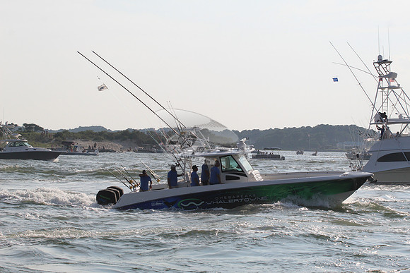 CHESAPEAKE WHALTERTOWN.
