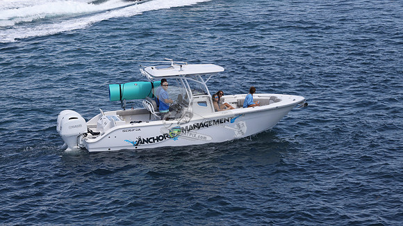 ANCHOR MANAGEMENT.SEA FOX.04