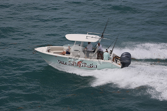 fl0395sy.wreck n so.14