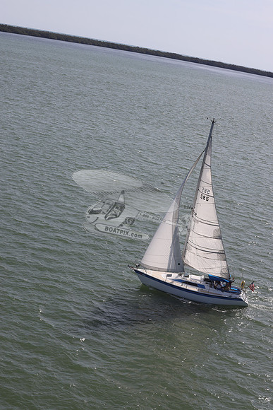 585.MS M..FL9900SM.12