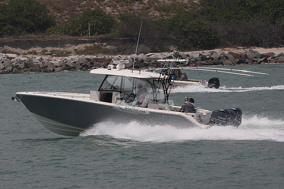 COBIA.GRAY.35