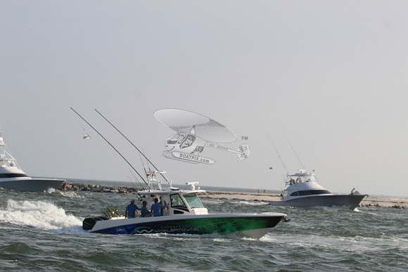 CHESAPEAKE WHALERTOWN.01