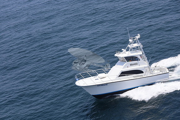 994422.daybreak.destin.14