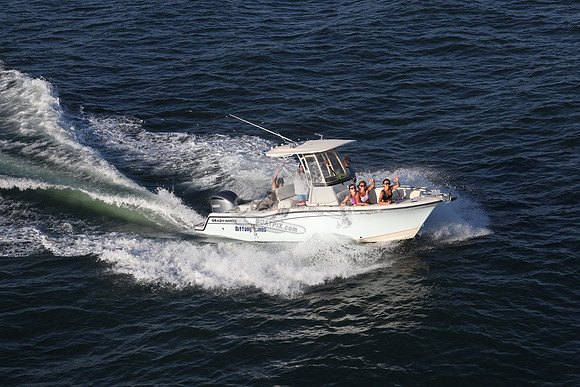 dl8276an.nittony lines.9477