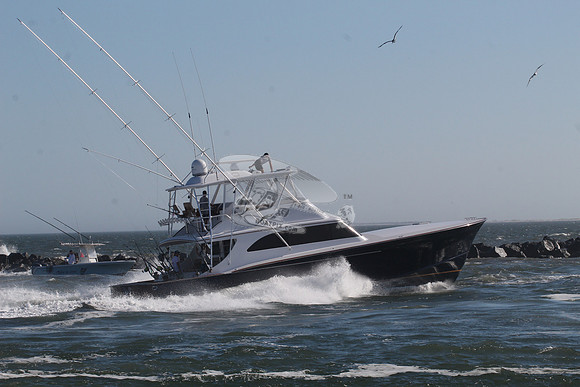 black jack.8006