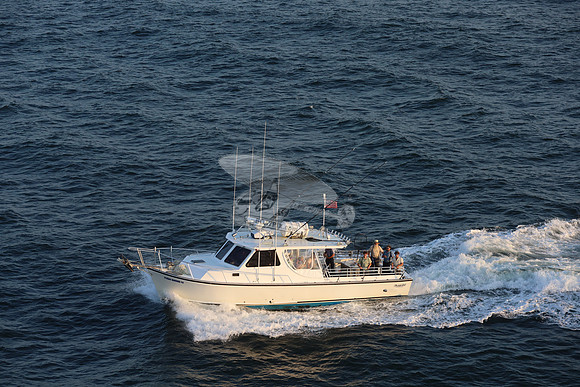 fish bound iv.ocean city md.8861