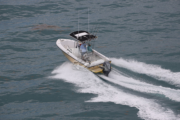 fl1505lp.08