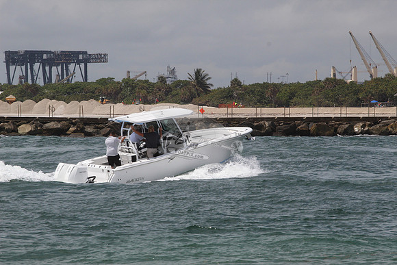 BLACKFIN.14