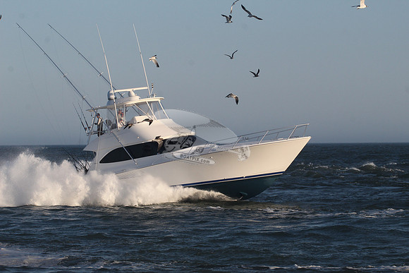 chain reaction.ocean city md.9945