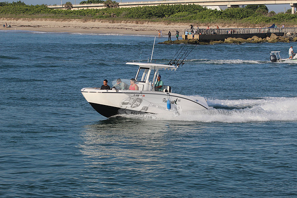 fl0335tf.2