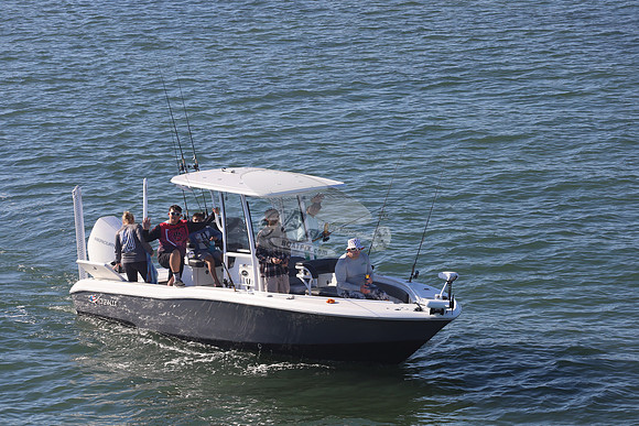 Crevalle.gray.1