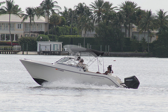 FL2608SR.11