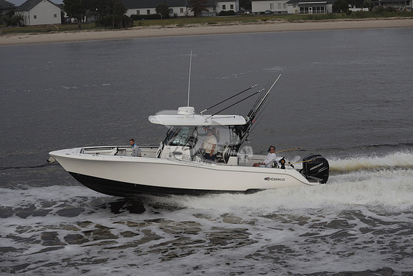 FINALLY II...BEACH NC.CREVALLE33.11