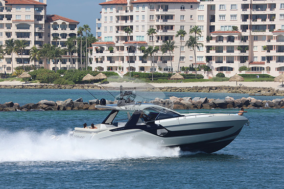 CHICKEN MONEY.AZIMUT.5
