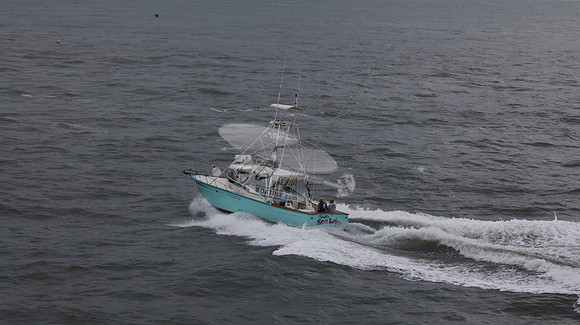 697155.hull's sea lover.ponce inlet fl.9447