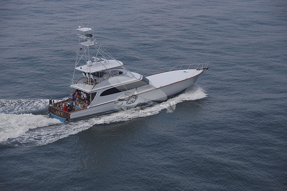 BEAST.PALM BEACH FL.040