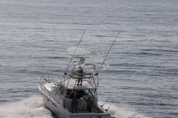 ANGLER MANAGEMENT.FTL.TIARA.06