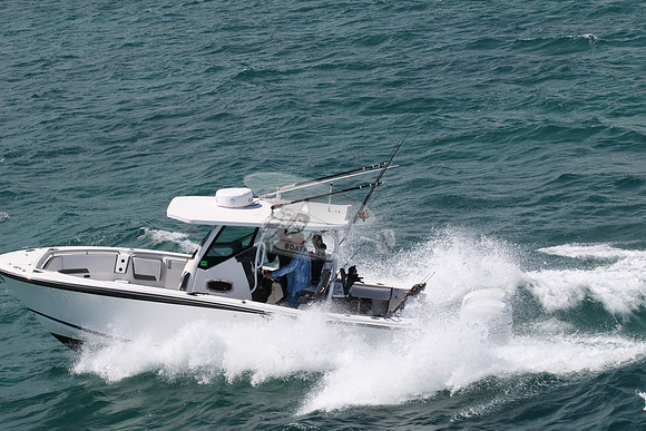 BLACKFIN.13