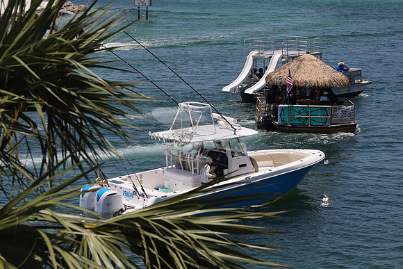 7 shark.ddestin.2