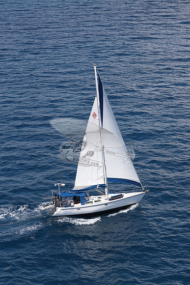 CAROLINE.C42.17