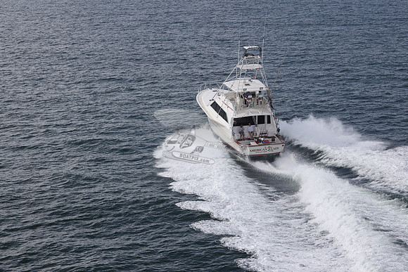 american lady.ocean view de.2185