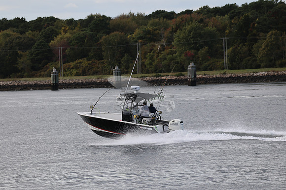 AF8A1685