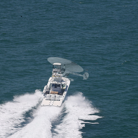 COPA..FL.YELLOWFIN.36