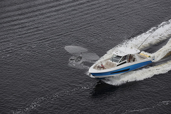 BOSTON WHALER.BLUE HULL.07