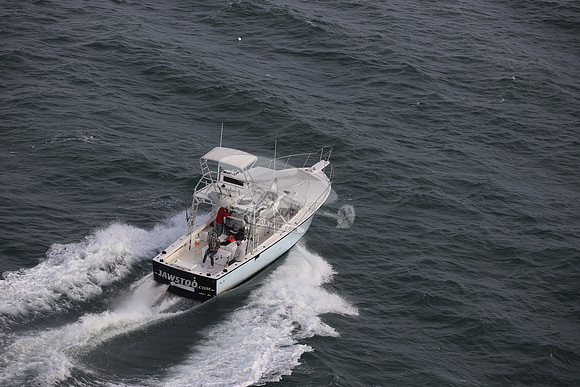 fl0114lm.9873
