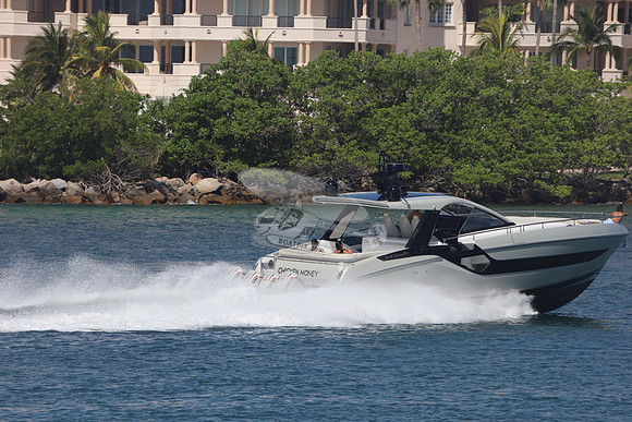 CHICKEN MONEY.AZIMUT.7