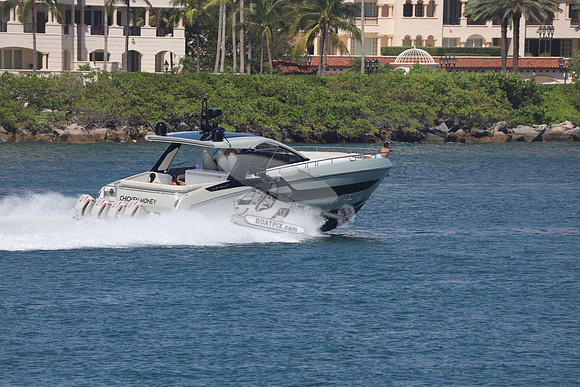 CHICKEN MONEY.AZIMUT.9