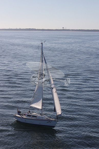 409.DELPHINA.FL6669GL.06