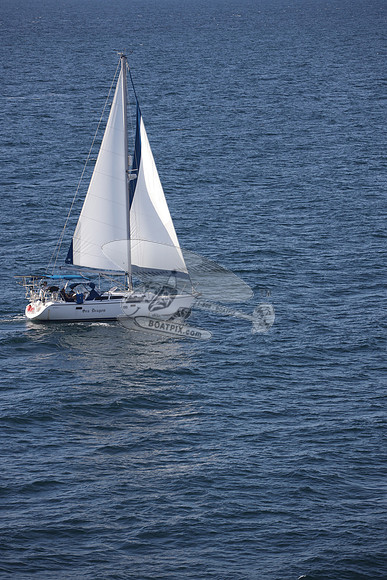 00000.SEA DRAGON.02