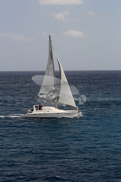 00000.voyage.carpe ventum.1954