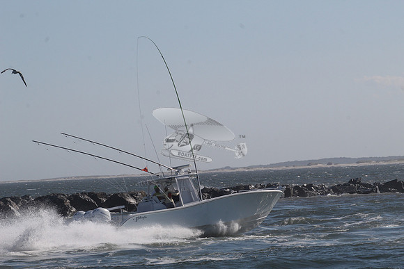 fishbox.yellowfin.8000