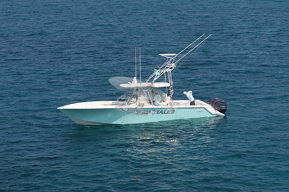 fish tales.sea vee.02