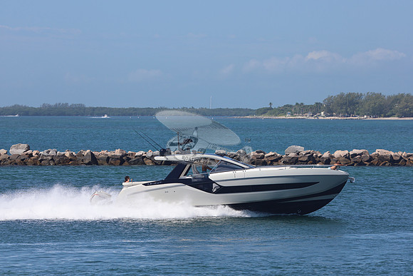 CHICKEN MONEY.AZIMUT.4