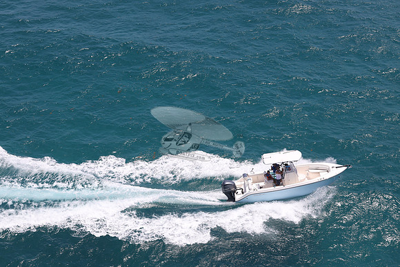FL7910SW.14