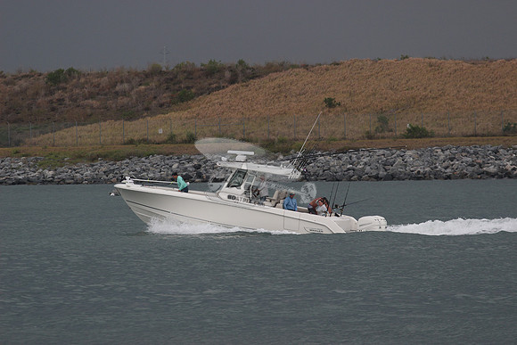 BOSTON WHALER.5