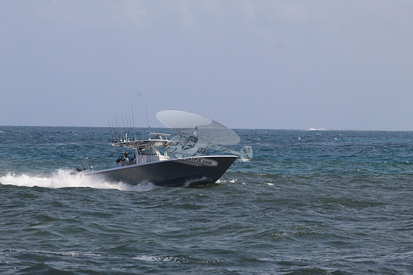 contender.3 merc.brown hull.1394