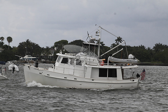 BAY PELICAN.FL7311...04